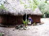 Chichen-Itza-037.jpg (536234 bytes)