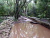 Chichen-Itza-042.jpg (582396 bytes)