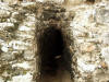 Chichen-Itza-060.jpg (465913 bytes)