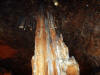 Jasper-2006-006.jpg (29339 bytes)