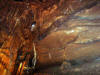 Jasper-2006-035.jpg (44517 bytes)