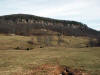 Jasper-2006-063.jpg (40477 bytes)