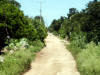 Mexico-268.jpg (242596 bytes)