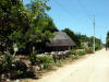 Mexico-270.jpg (398880 bytes)