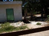 Mexico-273.jpg (384327 bytes)