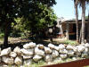 Mexico-277.jpg (419562 bytes)