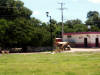 Mexico-279.jpg (278136 bytes)