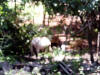 Mexico-293.jpg (264488 bytes)