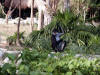 Xcaret-003.jpg (454934 bytes)
