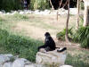 Xcaret-007.jpg (399496 bytes)