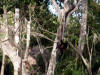 Xcaret-008.jpg (355048 bytes)