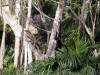 Xcaret-009.jpg (500363 bytes)