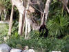 Xcaret-010.jpg (403874 bytes)