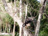 Xcaret-011.jpg (391868 bytes)