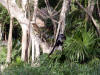 Xcaret-013.jpg (389418 bytes)