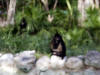 Xcaret-014.jpg (198954 bytes)