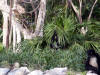 Xcaret-015.jpg (499694 bytes)