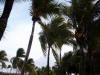 Xcaret-024.jpg (391380 bytes)