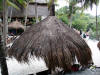 Xcaret-026.jpg (489850 bytes)