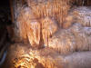Jasper-2006-007.jpg (41580 bytes)