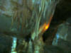 Jasper-2006-038.jpg (17698 bytes)